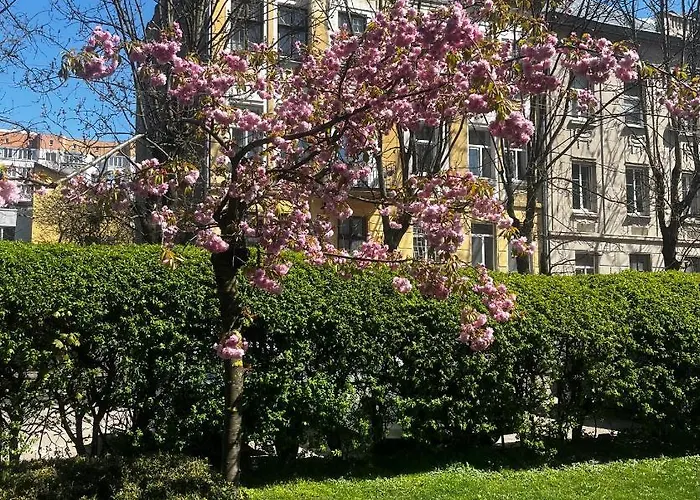 Lägenhet Iren Smart Lviv